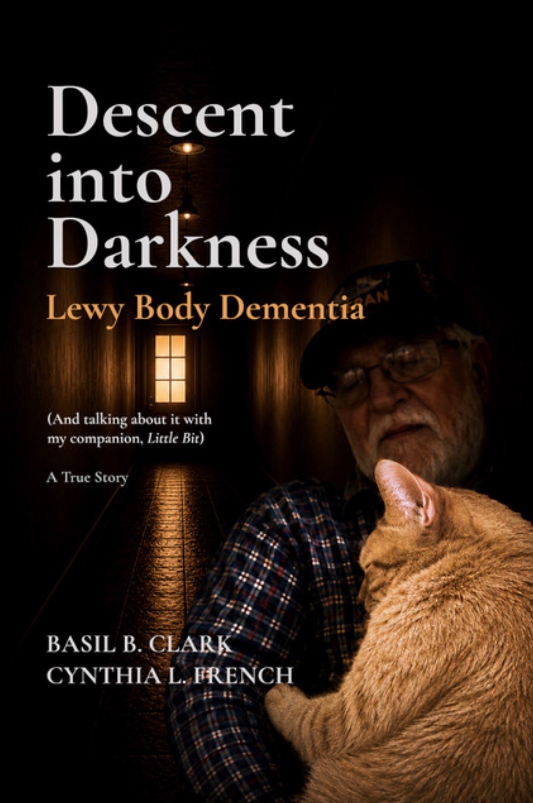 Descent into Darkness book cover